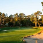 Pine Needles was designed by Donald Ross in 1927 and recently renovated in 2017 by Kyle Franz.